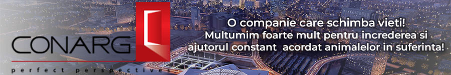 banner-cotnari