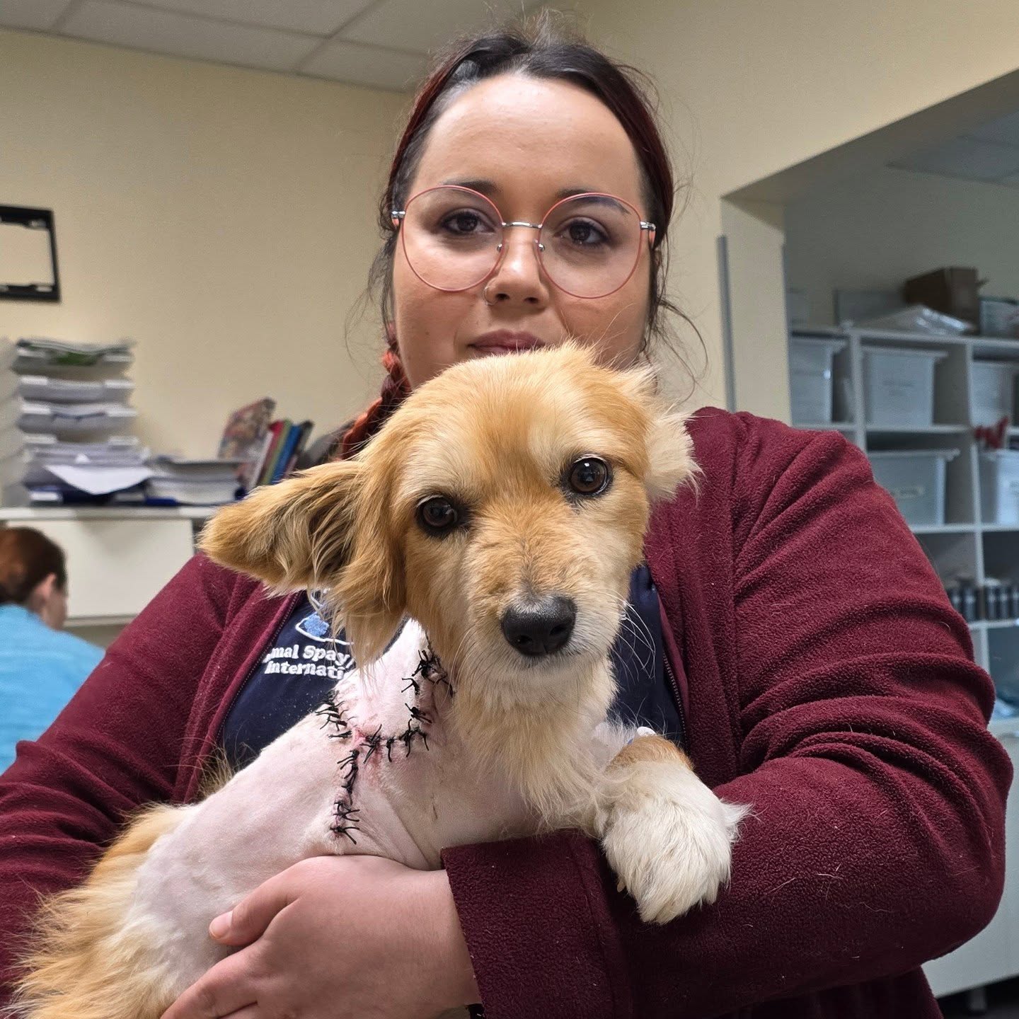 De-ce-este-important