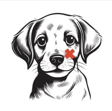 Homeless Animal Hospital